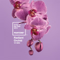kolor roku Pantone Radiant Orchid
