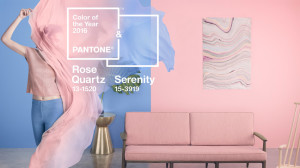 Pantone Rose Quartz Serenity colour